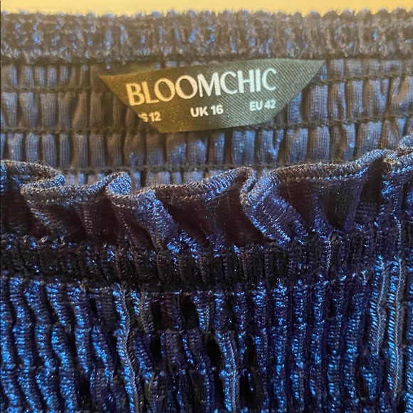 BloomChic Fabulous Blue Velvet Blouse - Picture 12 of 13